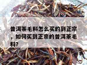 普洱茶毛料怎么买的到正宗，如何买到正宗的普洱茶毛料？