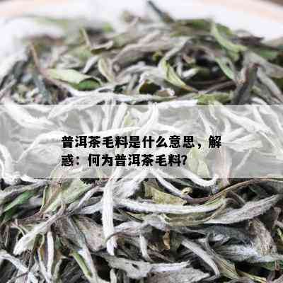 普洱茶毛料是什么意思，解惑：何为普洱茶毛料？