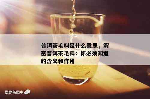 普洱茶毛料是什么意思，解密普洱茶毛料：你必须知道的含义和作用