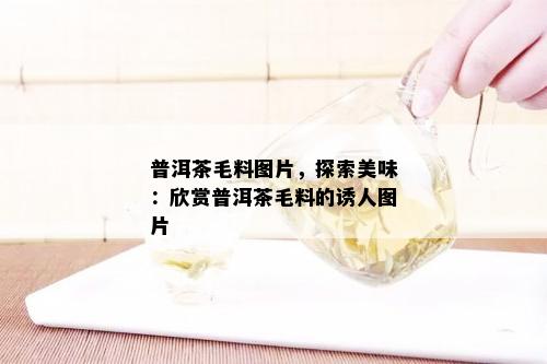 普洱茶毛料图片，探索美味：欣赏普洱茶毛料的诱人图片