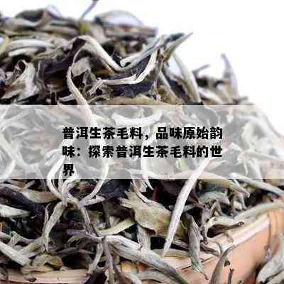 普洱生茶毛料，品味原始韵味：探索普洱生茶毛料的世界