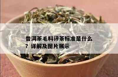 普洱茶毛料评茶标准是什么？详解及图片展示