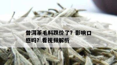 普洱茶毛料跌价了？影响口感吗？看视频解析