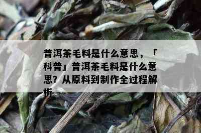 普洱茶毛料是什么意思，「科普」普洱茶毛料是什么意思？从原料到制作全过程解析