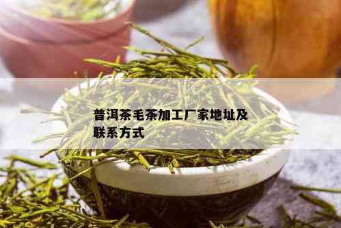 普洱茶毛茶加工厂家地址及联系方式