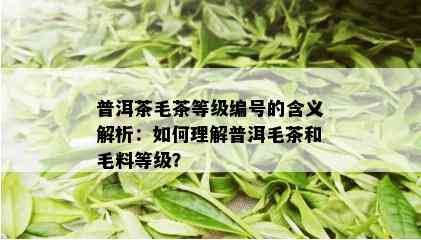 普洱茶毛茶等级编号的含义解析：如何理解普洱毛茶和毛料等级？