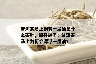 普洱茶汤上飘着一层油是什么茶叶，揭开谜团：普洱茶汤上为何会漂浮一层油？