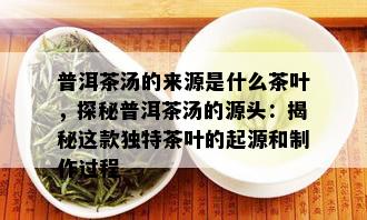 普洱茶汤的来源是什么茶叶，探秘普洱茶汤的源头：揭秘这款独特茶叶的起源和制作过程