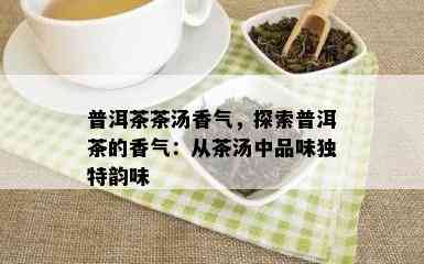 普洱茶茶汤香气，探索普洱茶的香气：从茶汤中品味独特韵味