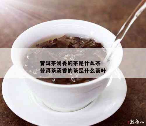 普洱茶汤香的茶是什么茶-普洱茶汤香的茶是什么茶叶