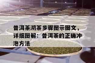 普洱茶沏茶步骤图示图文，详细图解：普洱茶的正确冲泡方法