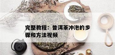 完整教程：普洱茶冲泡的步骤和方法视频