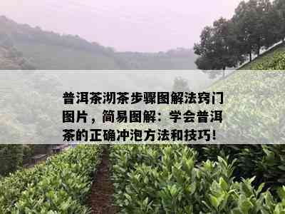 普洱茶沏茶步骤图解法窍门图片，简易图解：学会普洱茶的正确冲泡方法和技巧！