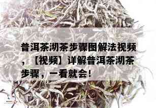 普洱茶沏茶步骤图解法视频，【视频】详解普洱茶沏茶步骤，一看就会！