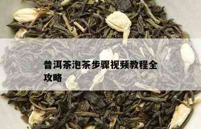 普洱茶泡茶步骤视频教程全攻略