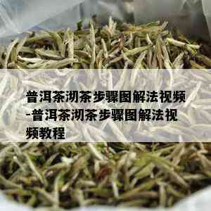 普洱茶沏茶步骤图解法视频-普洱茶沏茶步骤图解法视频教程