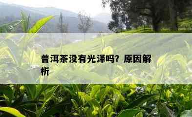 普洱茶没有光泽吗？原因解析