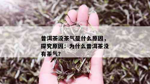 普洱茶没茶气是什么原因，探究原因：为什么普洱茶没有茶气？