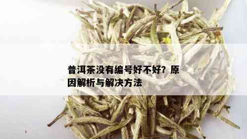 普洱茶没有编号好不好？原因解析与解决方法