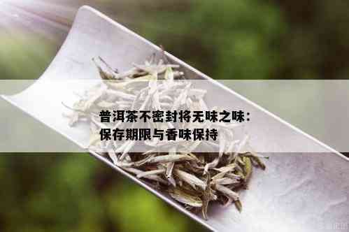 普洱茶不密封将无味之味：保存期限与香味保持