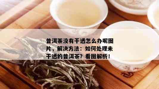 普洱茶没有干透怎么办呢图片，解决方法：如何处理未干透的普洱茶？看图解析！