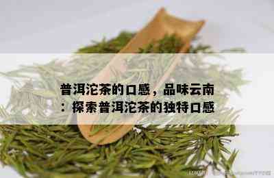 普洱沱茶的口感，品味云南：探索普洱沱茶的独特口感