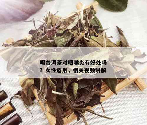 喝普洱茶对咽喉炎有好处吗？女性适用，相关视频讲解