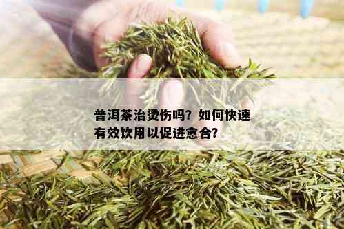 普洱茶治烫伤吗？如何快速有效饮用以促进愈合？