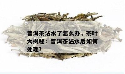 普洱茶沾水了怎么办，茶叶大揭秘：普洱茶沾水后如何处理？