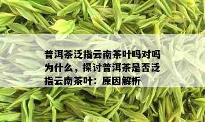 普洱茶泛指云南茶叶吗对吗为什么，探讨普洱茶是否泛指云南茶叶：原因解析