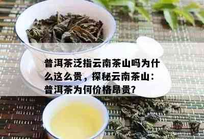 普洱茶泛指云南茶山吗为什么这么贵，探秘云南茶山：普洱茶为何价格昂贵？