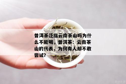 普洱茶泛指云南茶山吗为什么不能喝，普洱茶：云南茶山的代表，为何有人却不敢尝试？