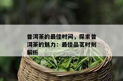 普洱茶的更佳时间，探索普洱茶的魅力：更佳品茗时刻解析