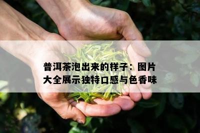 普洱茶泡出来的样子：图片大全展示独特口感与色香味