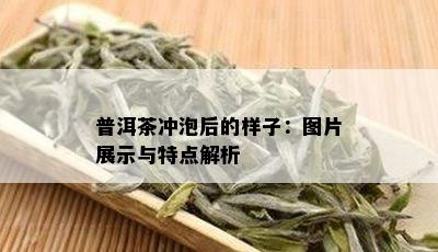 普洱茶冲泡后的样子：图片展示与特点解析