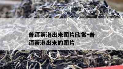 普洱茶泡出来图片欣赏-普洱茶泡出来的图片