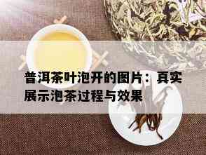 普洱茶叶泡开的图片：真实展示泡茶过程与效果