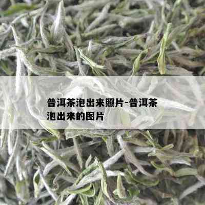 普洱茶泡出来照片-普洱茶泡出来的图片