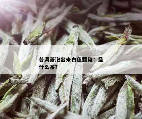 普洱茶泡出来白色颗粒：是什么茶？