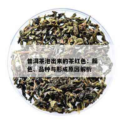 普洱茶泡出来的茶红色：颜色、品种与形成原因解析