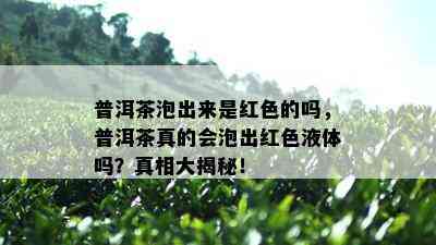 普洱茶泡出来是红色的吗，普洱茶真的会泡出红色液体吗？真相大揭秘！