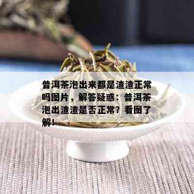 普洱茶泡出来都是渣渣正常吗图片，解答疑惑：普洱茶泡出渣渣是否正常？看图了解！