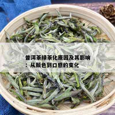 普洱茶绿茶化原因及其影响：从颜色到口感的变化