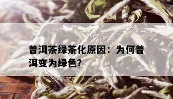 普洱茶绿茶化原因：为何普洱变为绿色？