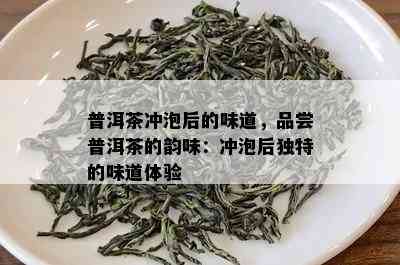 普洱茶冲泡后的味道，品尝普洱茶的韵味：冲泡后独特的味道体验