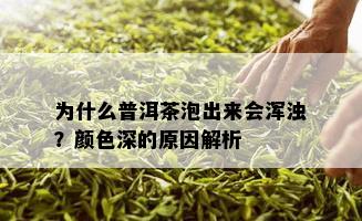 为什么普洱茶泡出来会浑浊？颜色深的原因解析