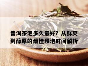 普洱茶泡多久更好？从鲜爽到醇厚的更佳浸泡时间解析