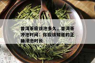 普洱茶应该泡多久，普洱茶冲泡时间：你应该知道的正确浸泡时长