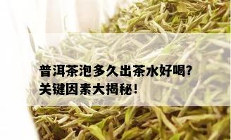 普洱茶泡多久出茶水好喝？关键因素大揭秘！