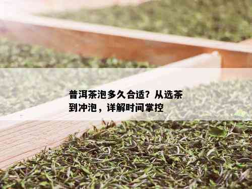 普洱茶泡多久合适？从选茶到冲泡，详解时间掌控